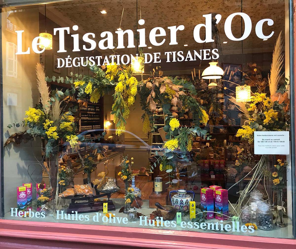 Végétalisation intérieure d’une boutique